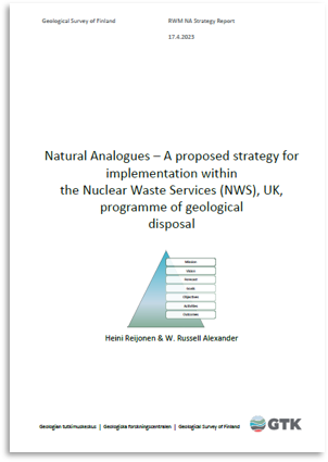 NA Strategy report cover